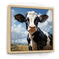 thumbnail image 2 of Designart "Black and White Cow Grazing I" Animals Framed Wall Art - Black Cow Entryway Framed Wall Art, 2 of 6