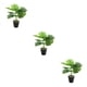 thumbnail image 3 of Inteprter ABS Tortuga en Maceta Plantas Falsas Bajo Mantenimiento JH5477, 3 of 6