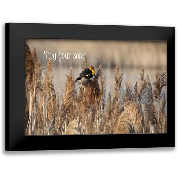 Murdock, Ramona 18x13 Black Modern Framed Museum Art Print Titled - Sing II
