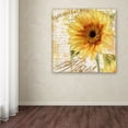 thumbnail image 3 of Trademark Fine Art 'Ete II' Canvas Art by Color Bakery, 3 of 3