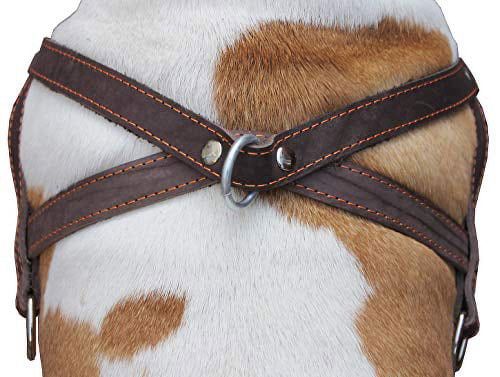 High Quality Brown Leather Dog Pulling Walking Harness Large. 31"-35" Chest, 1.5" Wide Straps