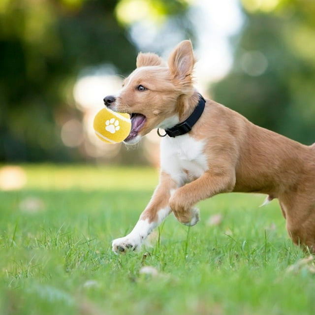 Taotanxi Solid Elastic Ball Is Suitable For Ball Grip Counteractive And Boring Dog Teething Pet Toys