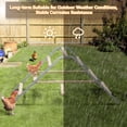 thumbnail image 3 of Petsfit Chicken Roosting Ladder with Swing, Solid Wood & Iron, Easy to Assemble & Clean, 3 of 8