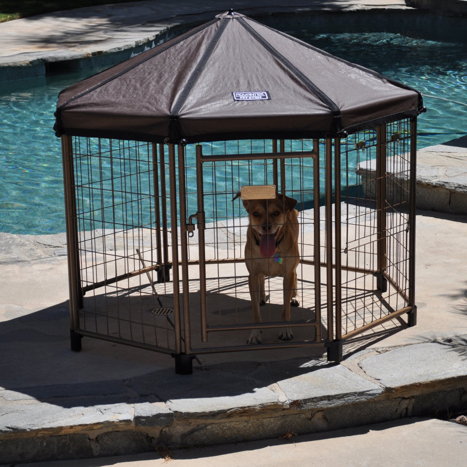 advantek pet gazebo large