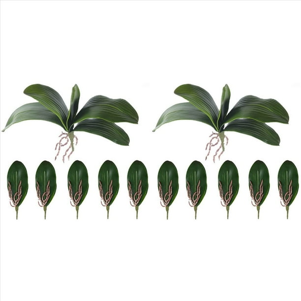 Hojas de OrquíDeas Phalaenopsis Plantas de Contacto de LáTex de RaíCes Artificiales de Aspecto Real Arreglo de Hojas de Imitación, 12 Piezas