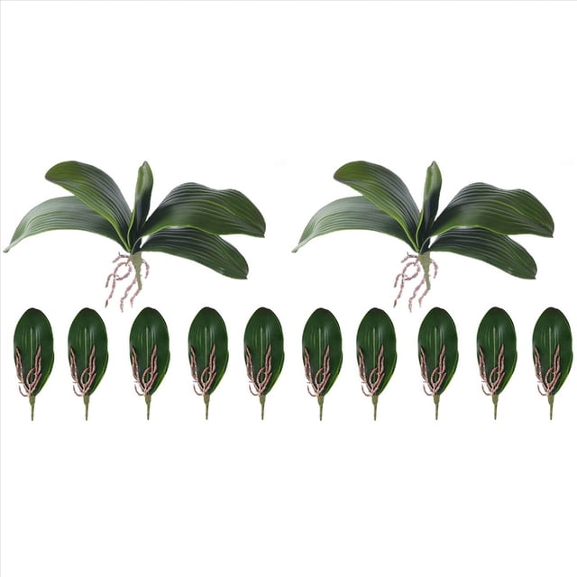 Hojas de OrquíDeas Phalaenopsis Plantas de Contacto de LáTex de RaíCes Artificiales de Aspecto Real Arreglo de Hojas de Imitación, 12 Piezas