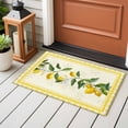 thumbnail image 4 of Yellow Lemons Entryway Rug 2'x3'&nbsp; Non Slip Front Door Mats, Summer Botanical Checkered Farmhouse Entrance Rugs Indoor Outdoor Carpet, Washable Floor Mats Small Area Rug for Bedroom Kitchen, 4 of 8