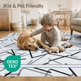 thumbnail image 4 of ODIKA 4'x6' Washable Area Rug Alfombras Balanced Symmetry Rectangular Frame Scattered Para for Bedroom, Reading Nook, Pet Friendly & Non-Shedding, 4 of 7