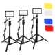 thumbnail image 3 of Iluminación de Fotografía de barra de lámpara de Video LED Regulable 5600K para luz de Relleno de Video fotográfico 3 piezas Hugo lámpara de pie, 3 of 9