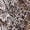 Grey, variant on PINKO womens Cassia Blouse, 46N, Grey