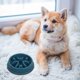 thumbnail image 4 of unbranded Elevado Para Perro Con Para Comer Lentamente Color Azul, 4 of 8