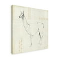 thumbnail image 2 of Trademark Fine Art 'Llama Land VIII' Canvas Art by Avery Tillmon, 2 of 3