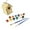 B, variant on Lhujing Smooth Surface Birdhouse DIY Bird House Kit-Children Painting Assembling Craft Build Birdhouse Gifts-Kids Bird Box Construction Set
