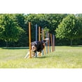 thumbnail image 3 of TRIXIE Dog Agility Slalom Set, Portable Dog Training Poles, Agility Weaving Poles, 12 pcs, 3 of 8