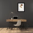 thumbnail image 3 of Gould, John 13x18 Black Ornate Wood Framed with Double Matting Museum Art Print Titled - Jardines Harrier-Circus jardinii, 3 of 4