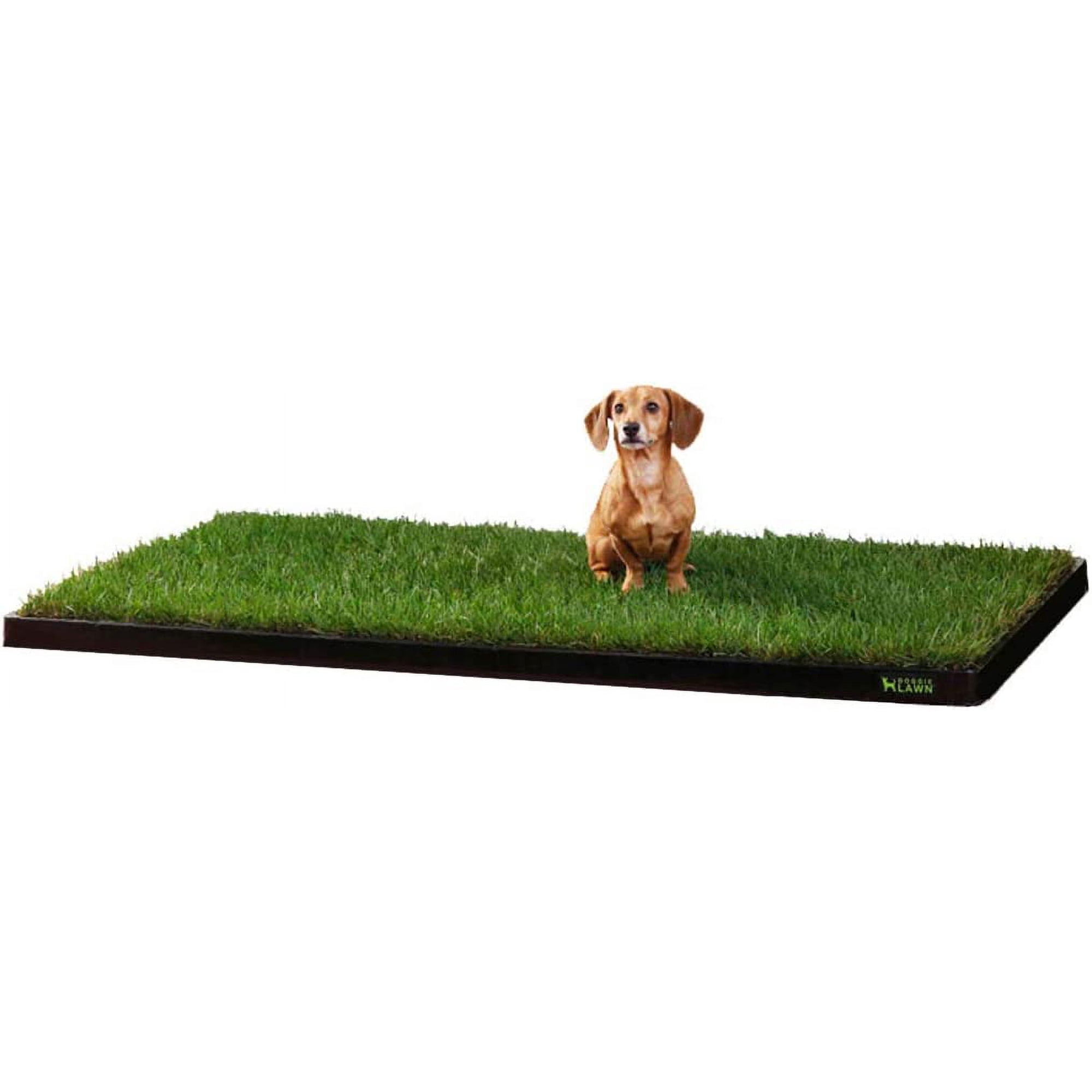 DoggieLawn Dog Potty - Real Grass - XLarge 24x48 inches