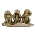 thumbnail image 3 of Ebros Whimsical Golden See Hear Speak No Evil Monkeys Sitting On Banana Leaf Statue 3 Wise Apes of The Jungle Figurine Animal Rainforest Monkey See & Do Fairy Tale Fable Nursery Rhymes Allegory, 3 of 7