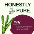 thumbnail image 5 of Plant Therapy Rosemary & Castor Oil - Hair Treatment for Growth, Shine, and Softness - 4 oz, 5 of 9
