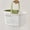 C, variant on GFHFHITJ Plastic Shower Caddy Basket with Handle, Portable Organizer Bin for Bathroom, College Dorm, Pantry & Kitchen