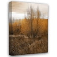 thumbnail image 1 of Vitaly Geyman 28x40 Gallery Wrapped Canvas Wall Art Titled - Spring Serenity I, 1 of 4