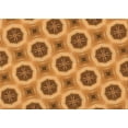 thumbnail image 1 of Ahgly Company Machine Washable Indoor Rectangle Transitional Mahogany Brown Area Rugs, 6' x 9', 1 of 7