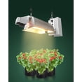 Plant Rachet 12-Pack 1/8” Adjustable Rope Hanger, Heavy Duty Ratchet Tie Down Strap ...
