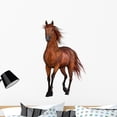 thumbnail image 1 of Beautiful Horse Wall Decal by Wallmonkeys Peel and Stick Graphic (36 in H x 21 in W) WM224683, 1 of 4
