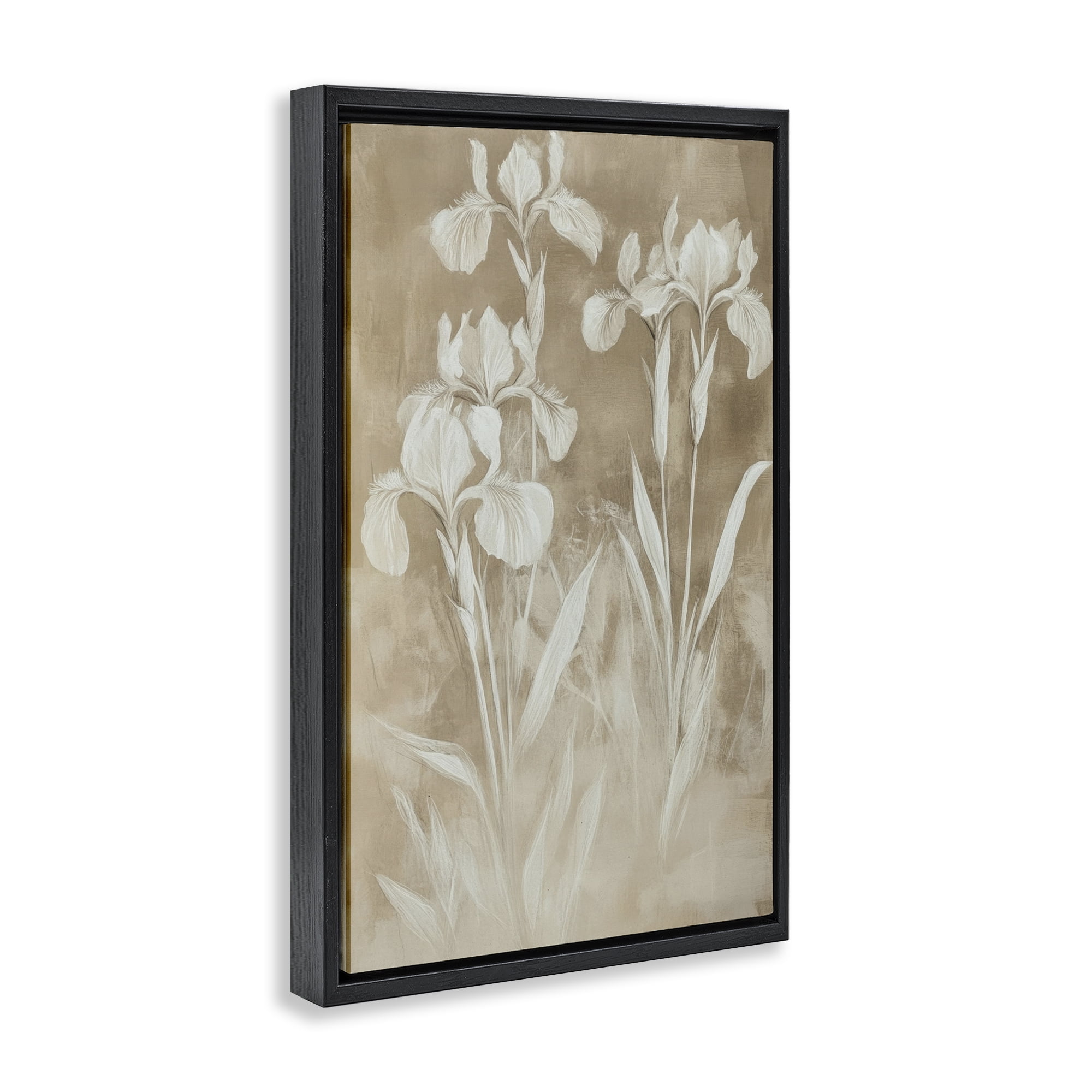 Stupell Industries Neutral Iris Botanical Study Black Framed Floater Canvas Wall Art, design by Petal Prints Design