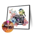 thumbnail image 2 of Pintura de diamante 5D DIY Kit de taladro Hugtrwg forma especial parcial Cámara Bird WQ063, 2 of 9