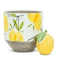 thumbnail image 3 of Planteur de Citrons, 3 of 4