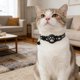 thumbnail image 3 of Collar inteligente para gatos con localizador electrónico «Find My», compatible con seguimiento en tiempo real, de silicona, ligero y ajustable para gatos pequeños y medianos, 3 of 4