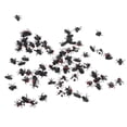 thumbnail image 3 of Lubelski 100Pcs Fake Flies Realistic Tricky Props Plastic Halloween Party Simulated Insect Fly Prank Toys, 3 of 7