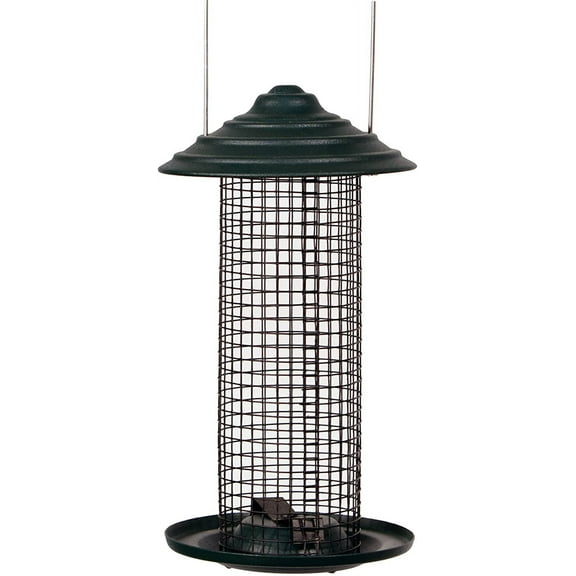 MAG1  s Sunflower Screen Feeder