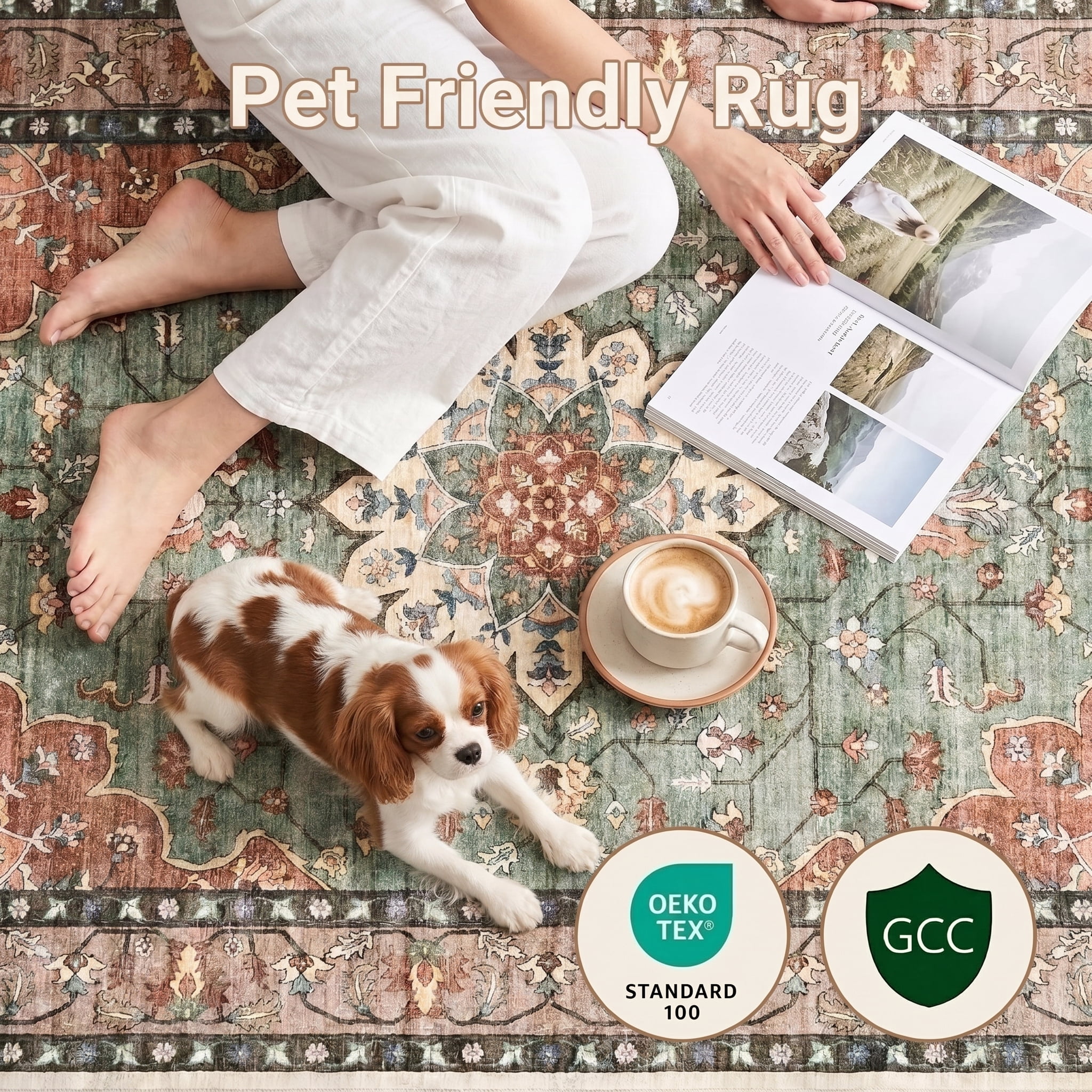 Prilinex 8'x10' Area Rug Living Room Rug, Large Washable Rug for Bedroom Dining Room, Vintage Floral Carpet Low Pile Distressed