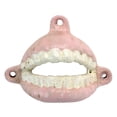 thumbnail image 2 of Design Toscano False Teeth Cast Iron Bottle Opener, 2 of 3
