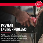 Sea Foam SF-16 Motor Treatment Fuel Additive Automotive Additive Can, 16 Ounce (3 Pack)
