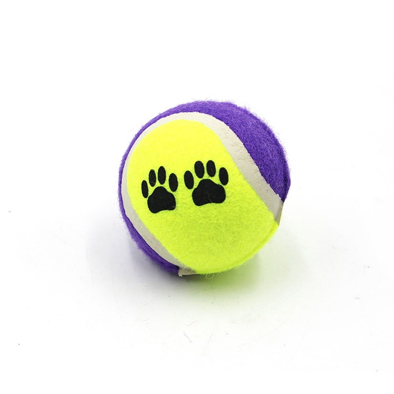 Why Do Dogs Destroy Tennis Balls