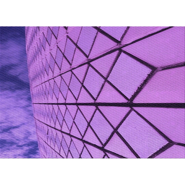 Ahgly Company Machine Washable Indoor Rectangle Transitional Heliotrope Purple Area Rugs, 5' x 7'