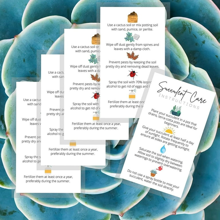 Premium Matte Card Stock Plant Cards Succulent Care Instruction Cards - 50  Pack, 2x3.5" Business Cards, Plant Care Guide For Gifting Business Card  Plant Guides