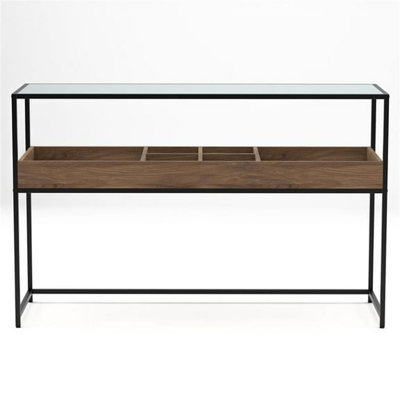 Furniture of America Jeska Rustic Metal Sofa Table with Storage in Matte Black