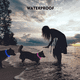 thumbnail image 5 of Collar para perros recargable con luz, lámpara para perros resistente al agua IP67 para paseos nocturnos, ajustable,, 5 of 5