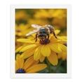 thumbnail image 5 of Paint By Numbers Kit for Adults Beginner - DIY Bee On Yellow Flower Closeup Canvas Painting Kits for Adults, Frameless Paint By Number for Adults for Home Wall Decor 16x20 Inch, 5 of 7