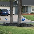 thumbnail image 7 of Northlight 2ct Tropical Flamingo Outdoor Garden Lawn Stakes 30" - Blue, 7 of 7