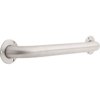 Safety First 1-1/2" Diameter Exposed Mount Grab Bar, Stainless Steel