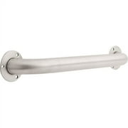 Safety First 1-1/2" Diameter Exposed Mount Grab Bar, Stainless Steel