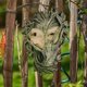 thumbnail image 3 of Shy Wood Elf Tree Face Escultura de Pared Decoración mística, 21 cm,, 3 of 5