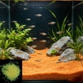 thumbnail image 1 of Arena Luminiscente para Acuarios: Grava Decorativa Luminosa, Piedras Noctilucentes para Peceras de Peces Betta y Gambas. Piedras Que Brillan En La Oscuridad para Decoración Subacuática., 1 of 6
