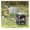 Gray with 1 Bag, variant on Portable BBQ Grilling Table, Outdoor Camping Kitchen Stand with Windscreen & Storage - Aluminum Folding Side Tables for Cooking