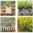 thumbnail image 3 of 100 Pcs Garden Plant Pots Planters Grow Bags  Non-woven Fabric Pouch Root Container, 3 of 9
