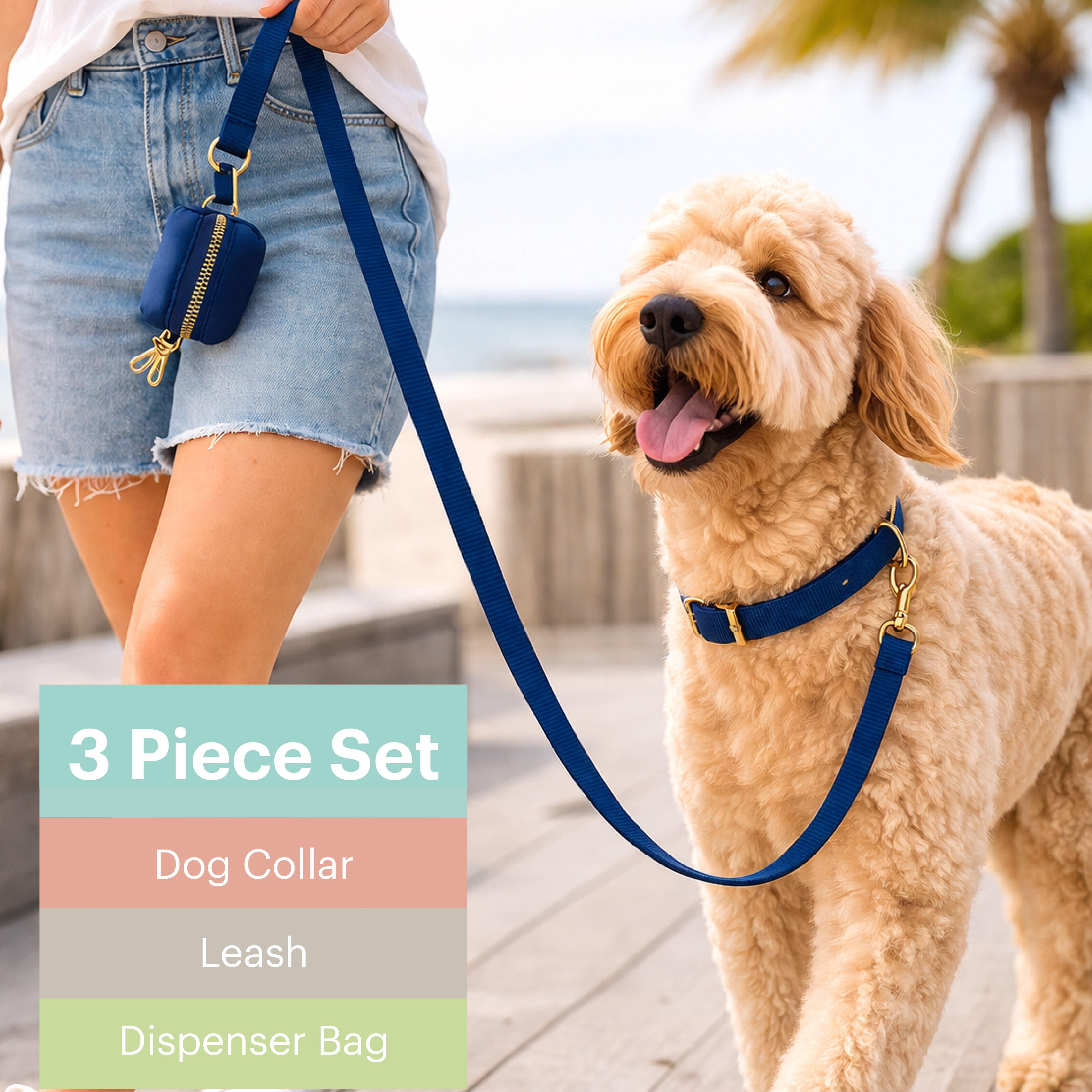 Martha Stewart Everyday Navy 3 Piece Leash Set for Dogs